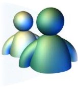 MSN Logo